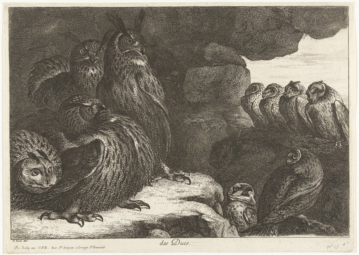 Ugler i en hule des Ducs (titel på objekt) Fugle fra menageriet i Versailles (serietitel) af Peeter Boel (attributed to)