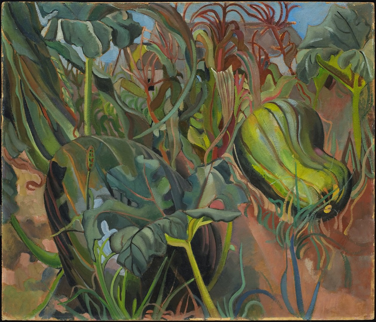 Den sammenfiltrede have af Pegi Nicol Macleod