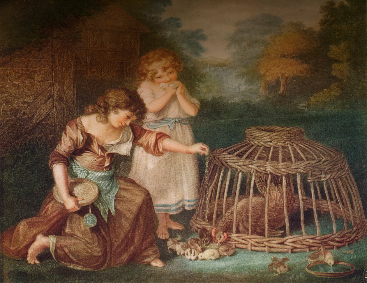 Fodring af høns, c1788 af Peltro William Tomkins