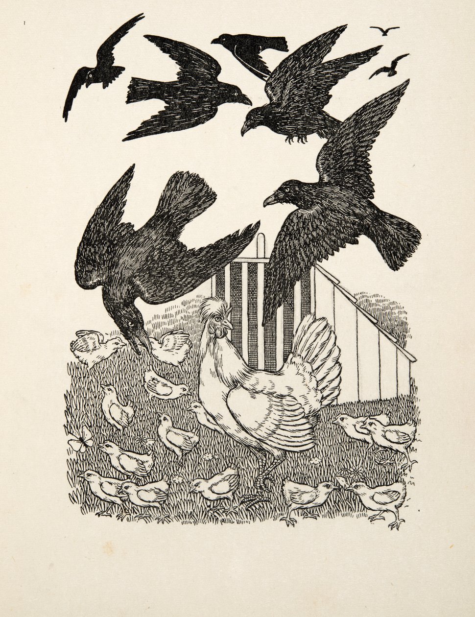 A Calculating Crow, fra A Hundred Anecdotes of Animals, pub. 1924 af Percy J. Billingshurst