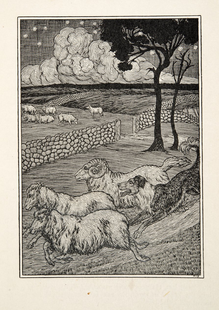 A Canine Sheep Stealer, fra A Hundred Anecdotes of Animals, pub. 1924 af Percy J. Billingshurst