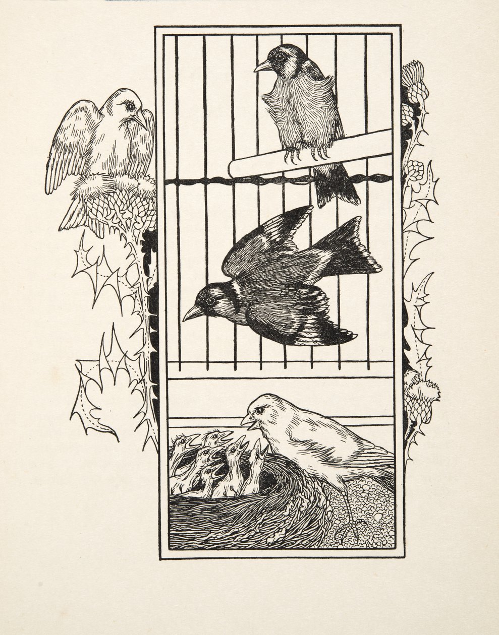 A Charitable Canary, fra A Hundred Anecdotes of Animals, pub. 1924 af Percy J. Billingshurst