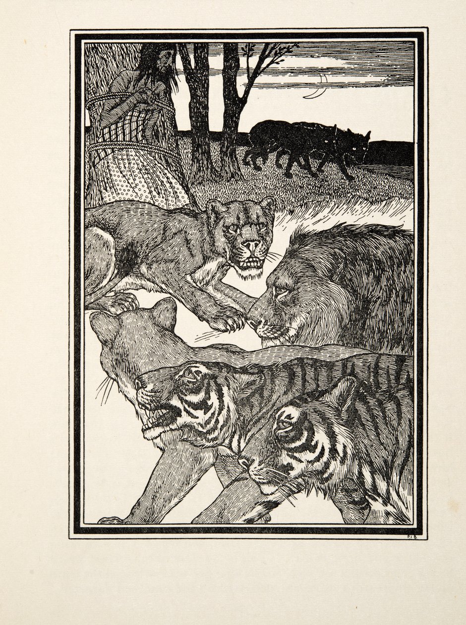 A Grateful Lioness, fra A Hundred Anecdotes of Animals, pub. 1924 (gravering) af Percy J. Billingshurst