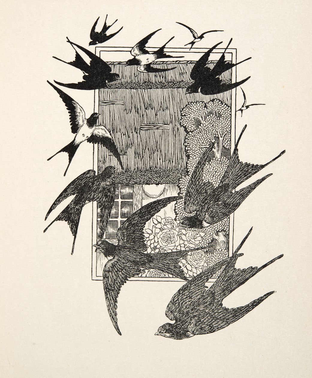 An Usurper Punished, fra A Hundred Anecdotes of Animals, pub. 1924 af Percy J. Billingshurst