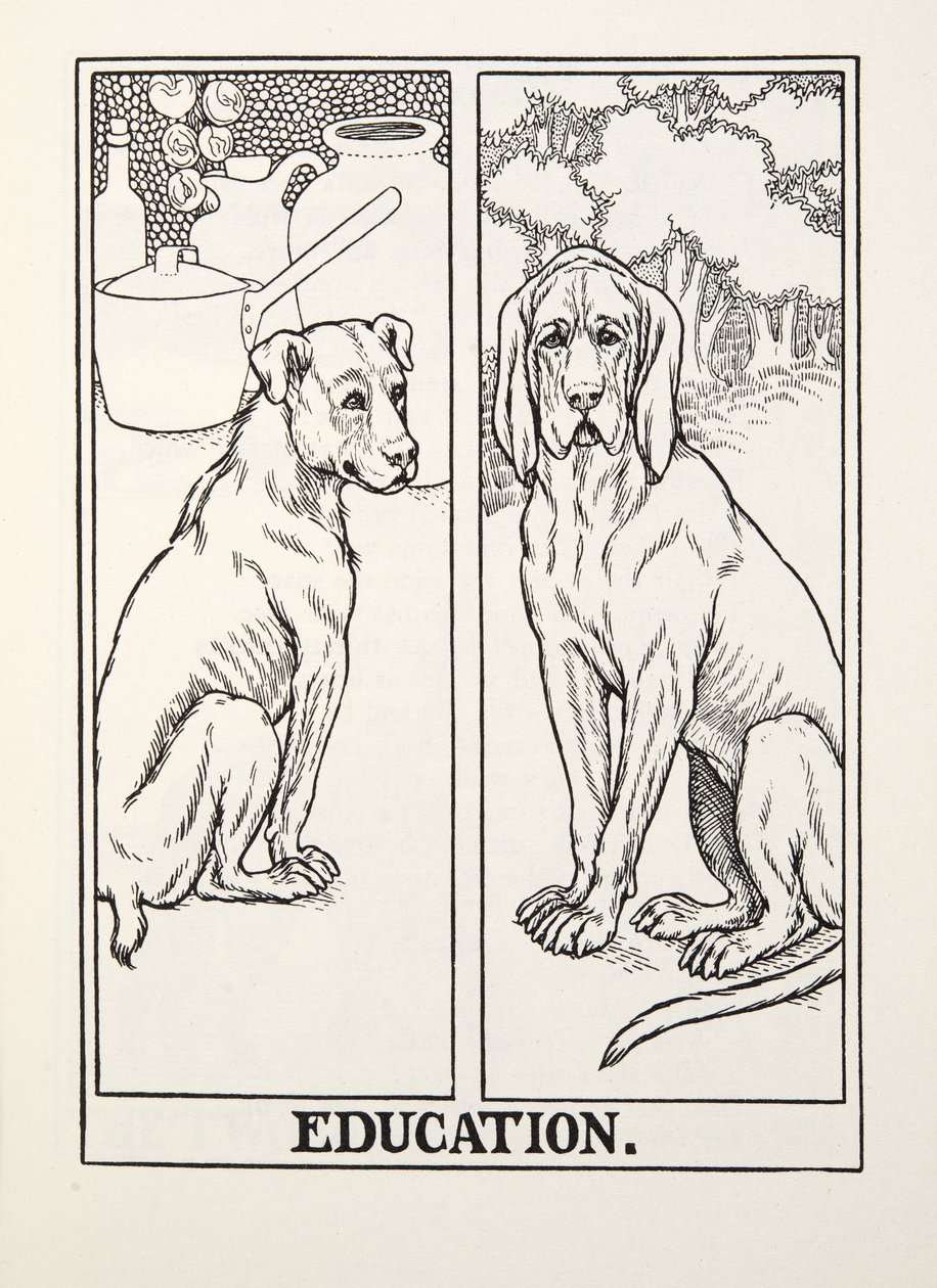 Education, fra Fontaine Fables, pub. 1905 af Percy J. Billingshurst