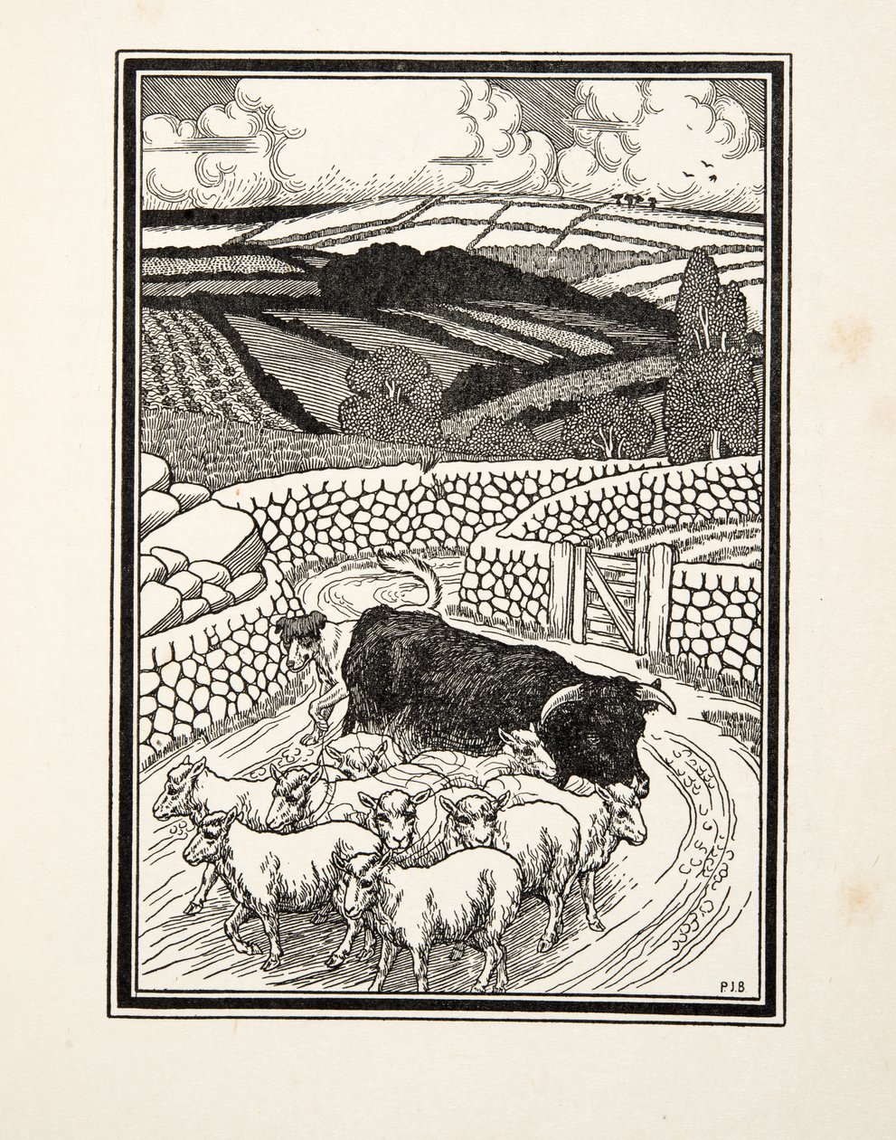 Going to Market, fra A Hundred Anecdotes of Animals, pub. 1924 af Percy J. Billingshurst