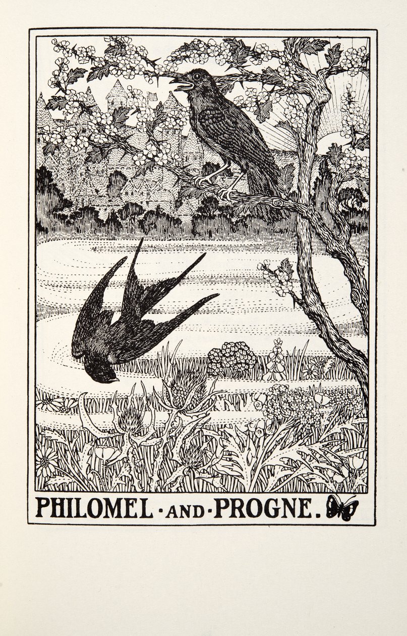 Philomel og Progne, fra Fontaine Fables, pub. 1905 af Percy J. Billingshurst