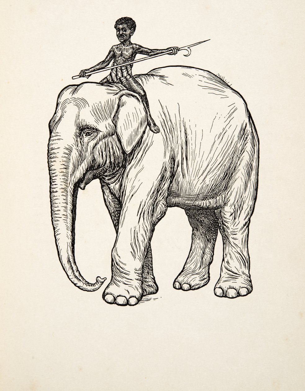 Remorse, fra A Hundred Anecdotes of Animals, pub. 1924 af Percy J. Billingshurst