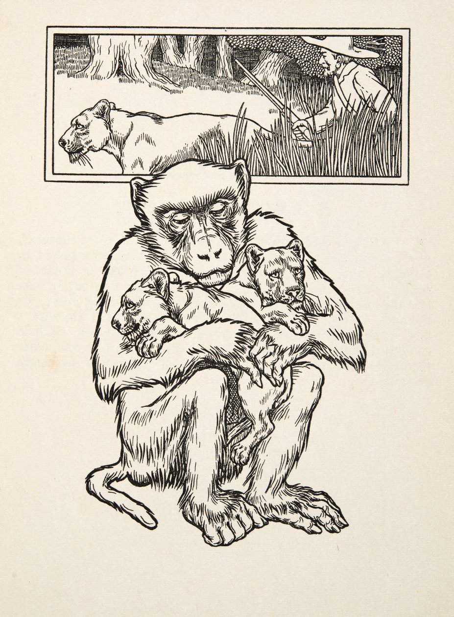 Soliciting Succour, fra A Hundred Anecdotes of Animals, pub. 1924 (gravering) af Percy J. Billingshurst