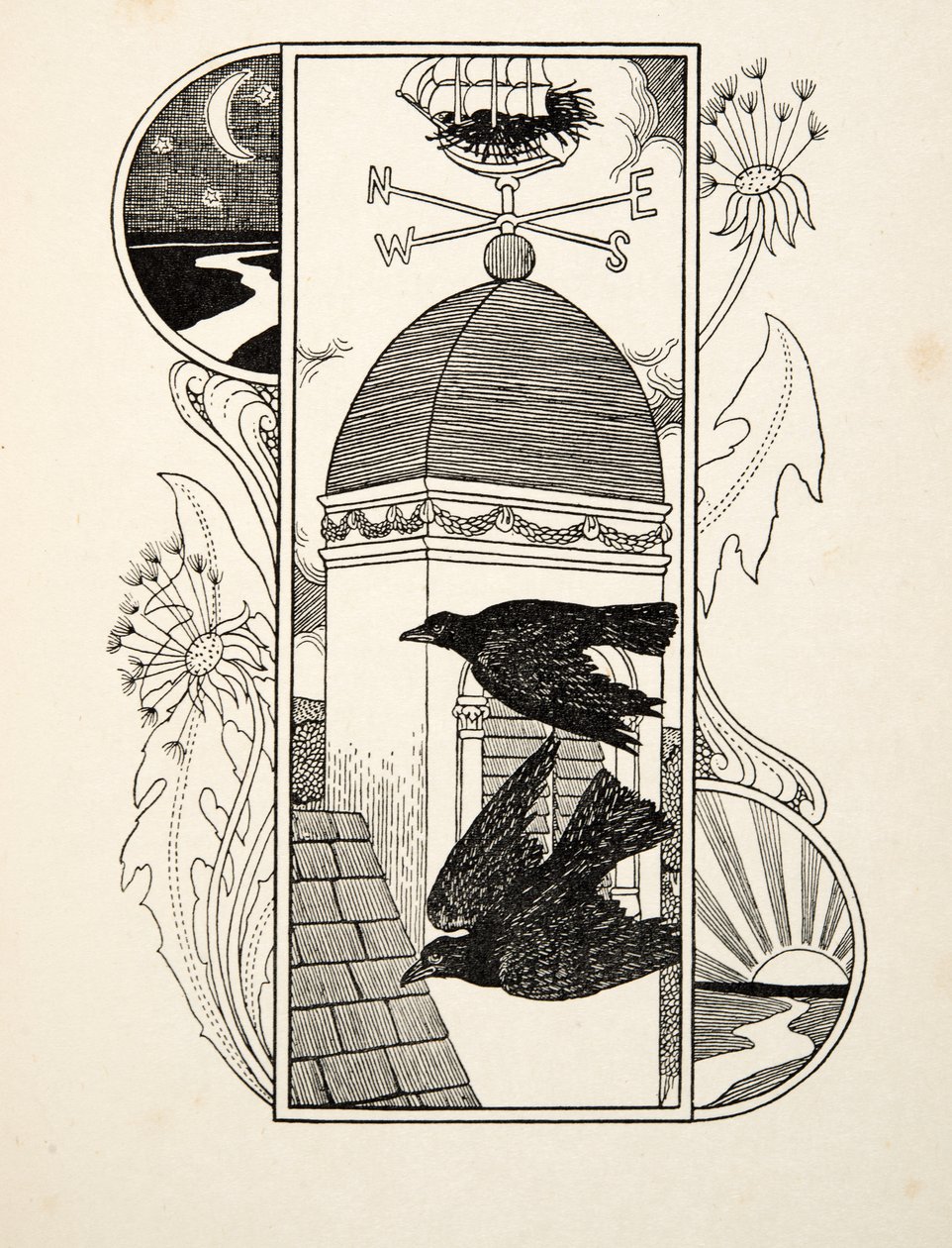 Strange Rooks, fra A Hundred Anecdotes of Animals, pub. 1924 af Percy J. Billingshurst