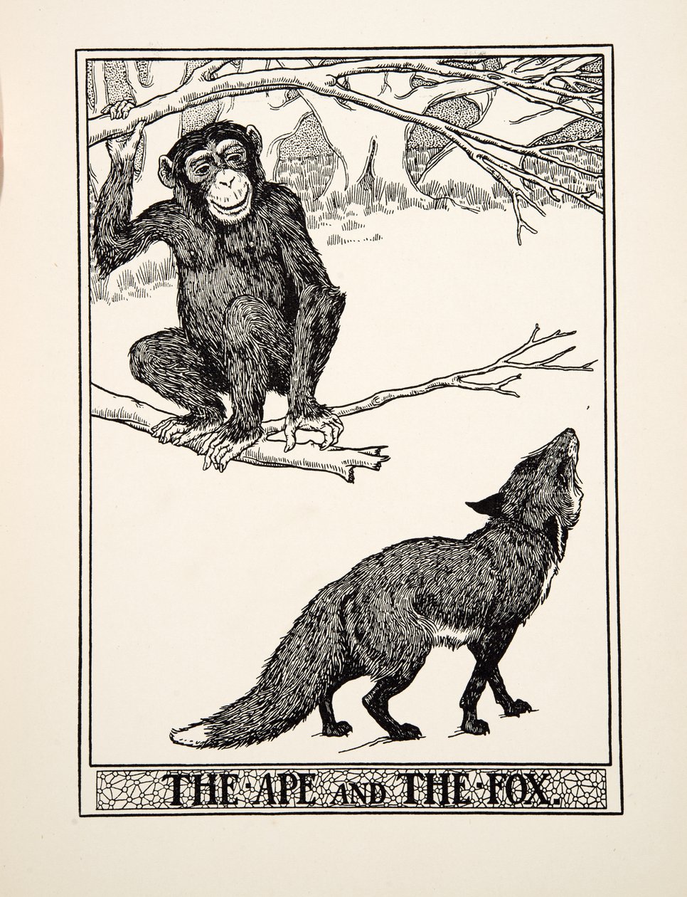 The Ape and the Fox, fra A Hundred Fables of Aesop, pub.1903 (gravering) af Percy J. Billingshurst