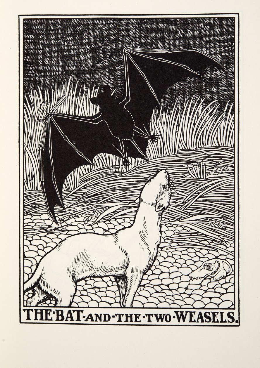 Flagermusen og de to væsler, fra Fontaine Fables, pub. 1905 af Percy J. Billingshurst