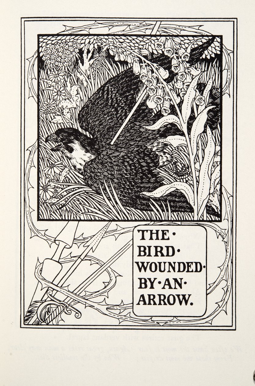 Fuglen, der blev såret af en pil, fra Fontaine Fables, pub. 1905 af Percy J. Billingshurst