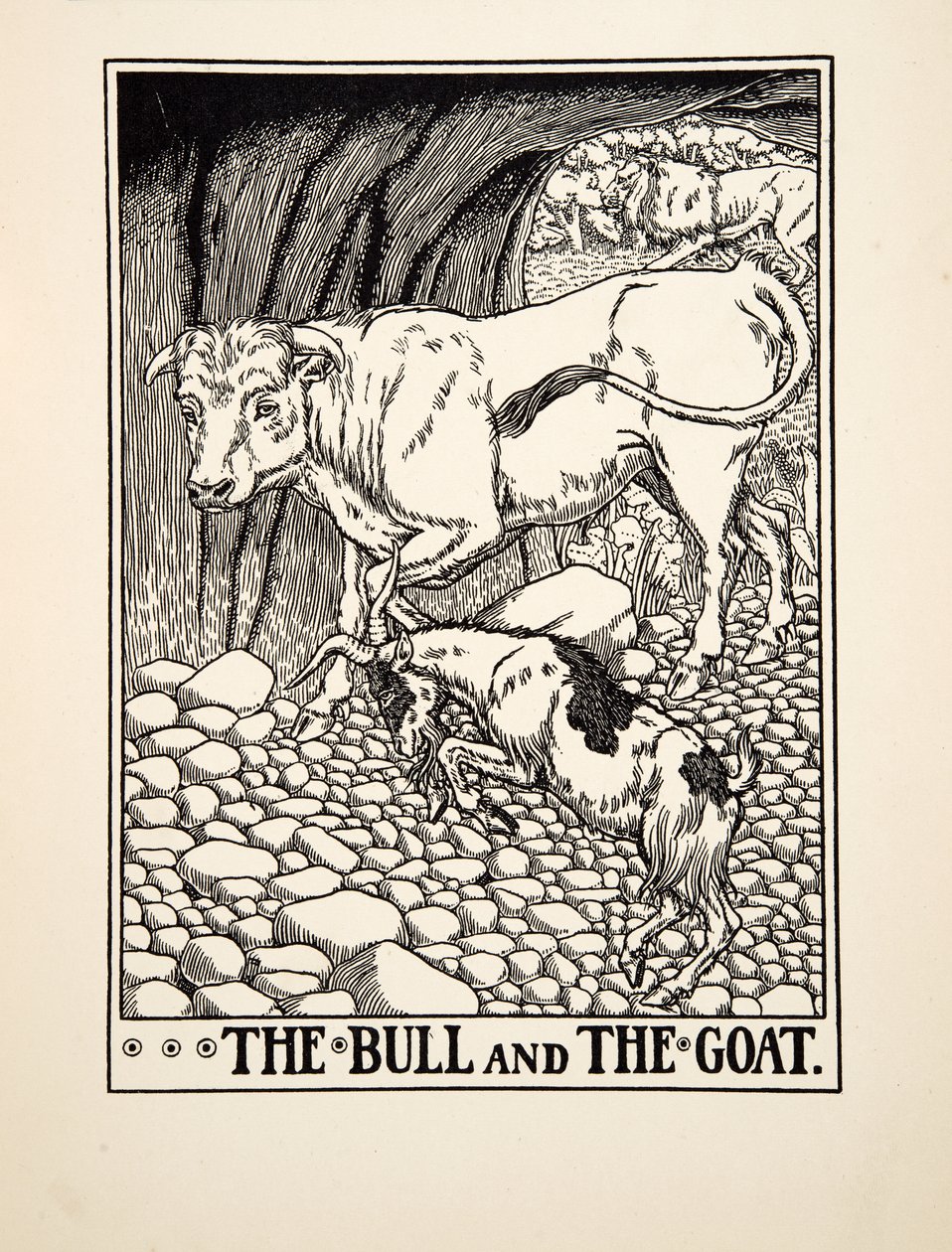 The Bull and the Goat, fra A Hundred Fables of Aesop, pub.1903 (gravering) af Percy J. Billingshurst