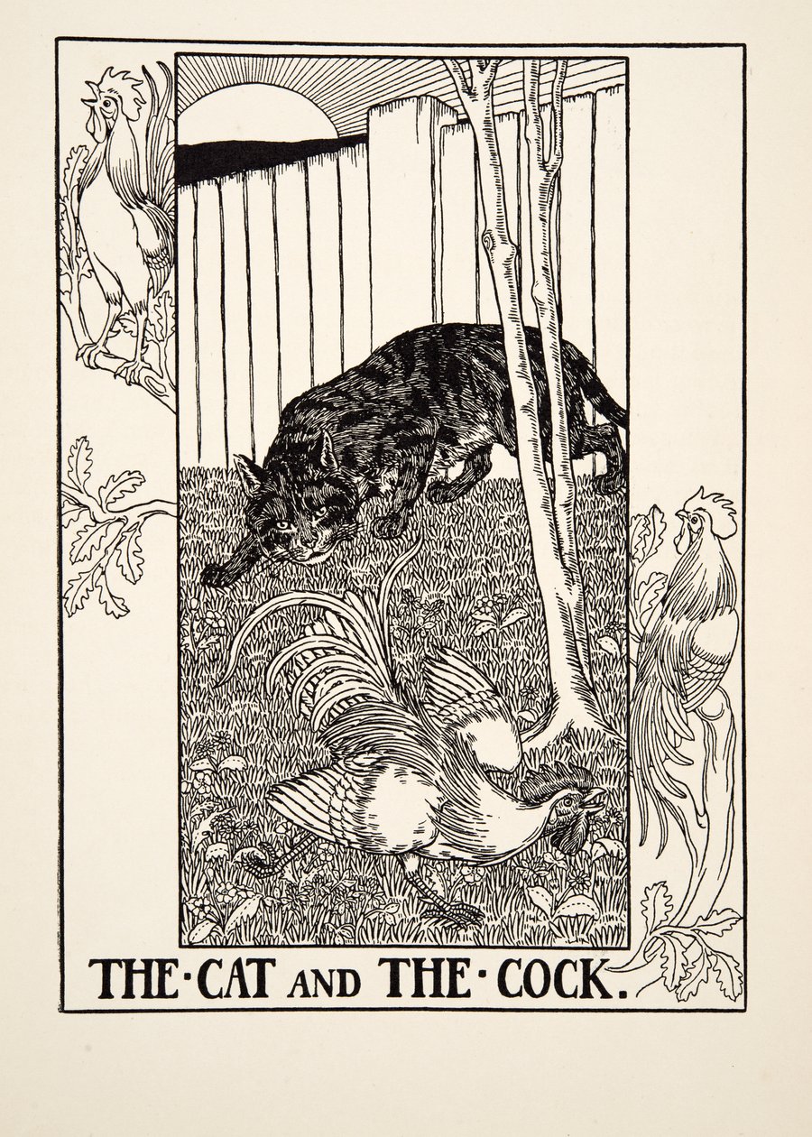 The Cat and the Cock, fra A Hundred Fables of Aesop, pub.1903 af Percy J. Billingshurst