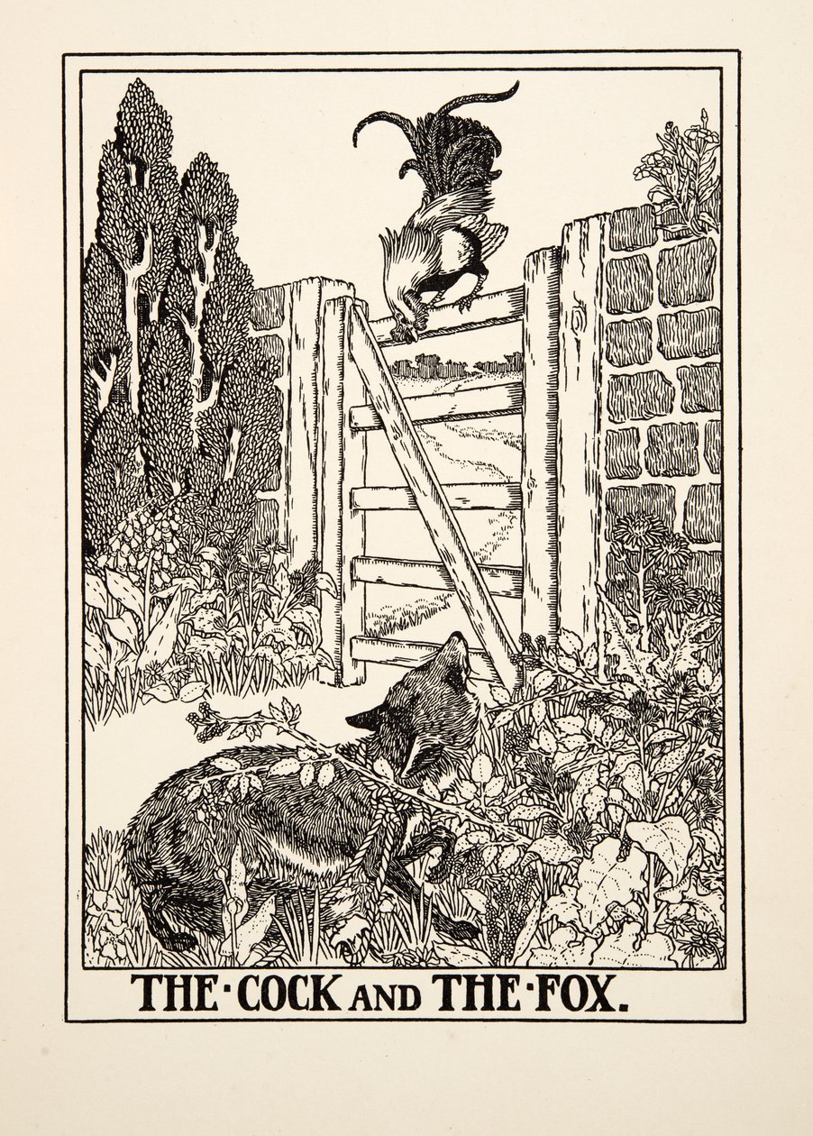 The Cock and the Fox, fra A Hundred Fables of Aesop, pub.1903 af Percy J. Billingshurst