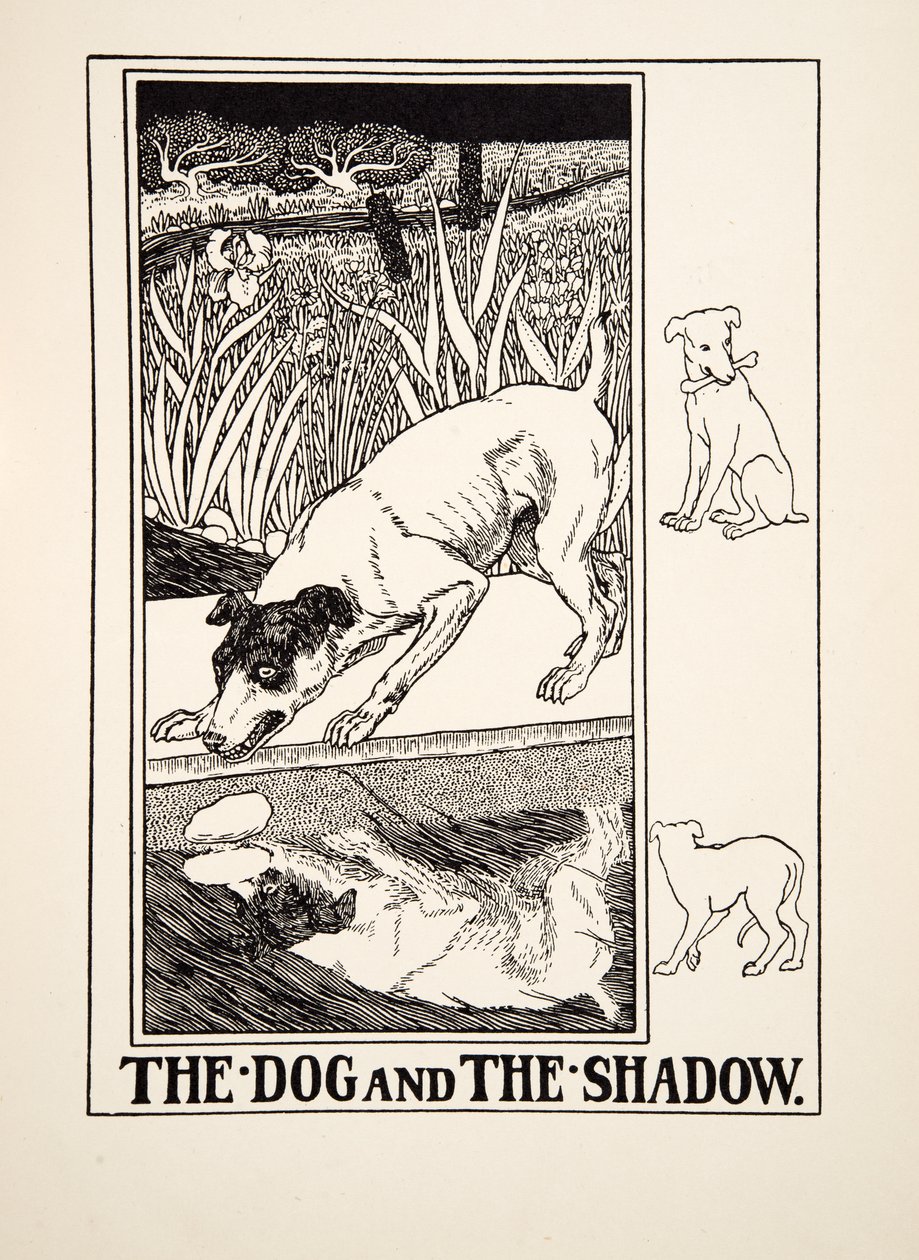 Hunden og skyggen, fra Æsops hundrede fabler, udg. 1903 af Percy J. Billingshurst