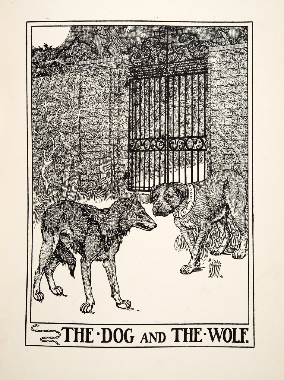 The Dog and the Wolf, fra A Hundred Fables of Aesop, pub.1903 (gravering) af Percy J. Billingshurst