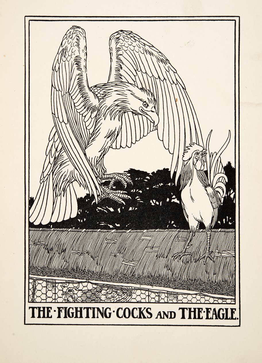 The Fighting Cocks and the Eagle, fra A Hundred Fables of Aesop, udg. 1903 af Percy J. Billingshurst