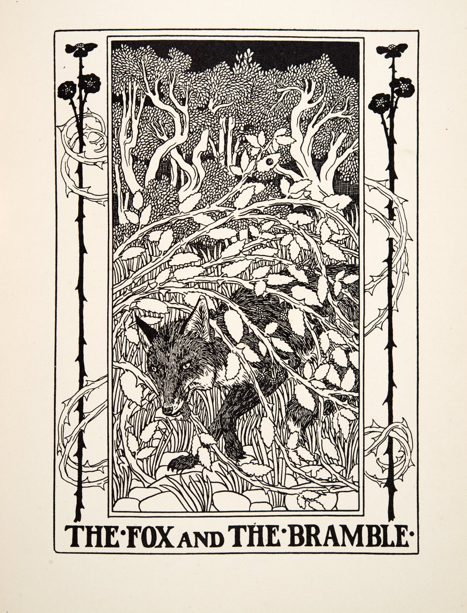 The Fox and the Bramble, fra A Hundred Fables of Aesop, pub.1903 af Percy J. Billingshurst