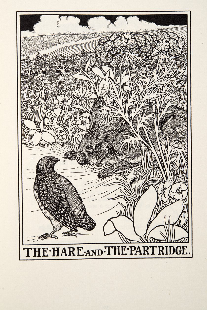 Haren og Agerhønen, fra Fontaine Fables, pub. 1905 af Percy J. Billingshurst