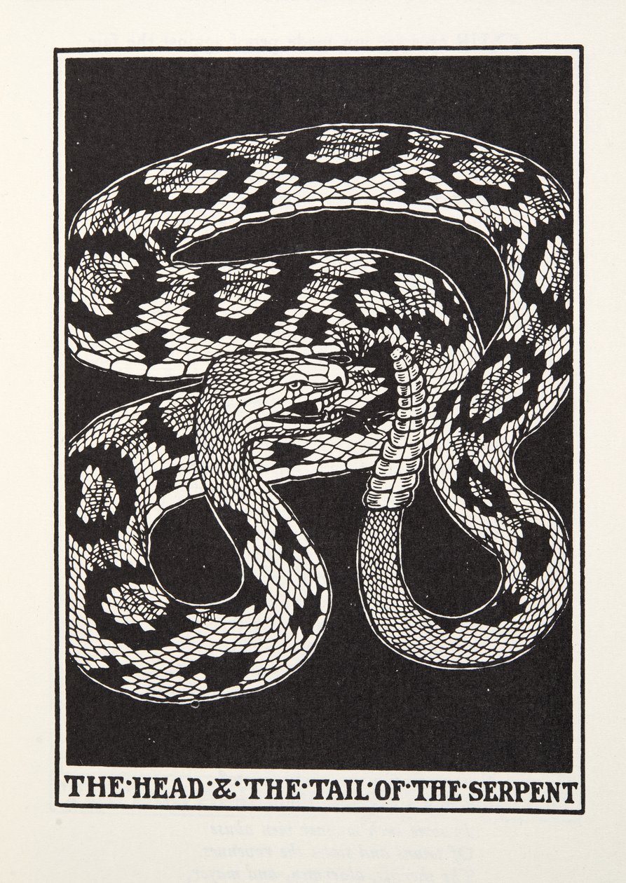 The Head and Tail of the Serpent, fra Fontaine Fables, pub. 1905 (gravering) af Percy J. Billingshurst