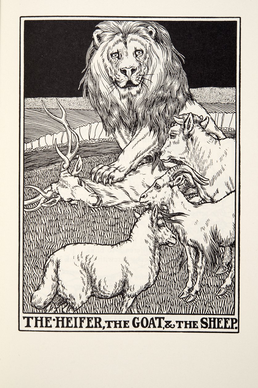 Kvien, geden og fåret, fra Fontaine Fables, pub. 1905 af Percy J. Billingshurst
