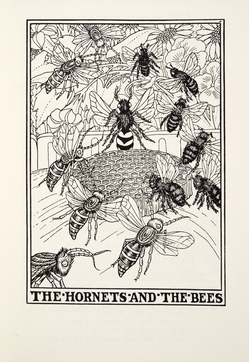 Hornets and the Bees, fra Fontaine Fables, pub. 1905 (gravering) af Percy J. Billingshurst