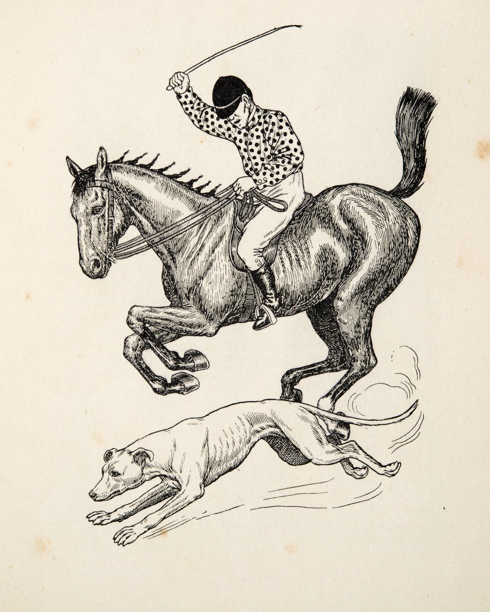 The Horse and Greyhound, fra A Hundred Anecdotes of Animals, pub. 1924 af Percy J. Billingshurst