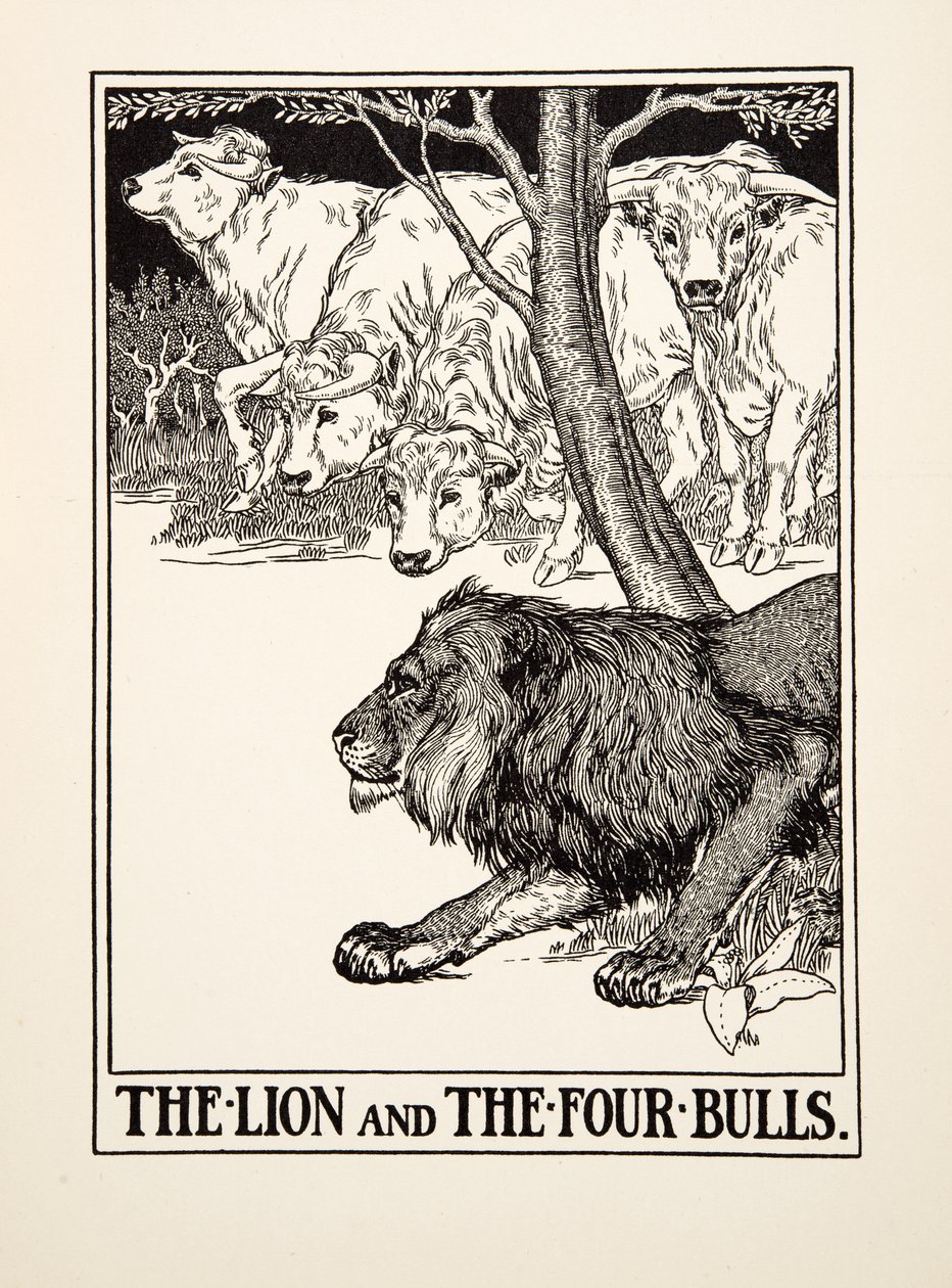 The Lion and the Four Bulls, fra A Hundred Fables of Aesop, pub.1903 (gravering) af Percy J. Billingshurst