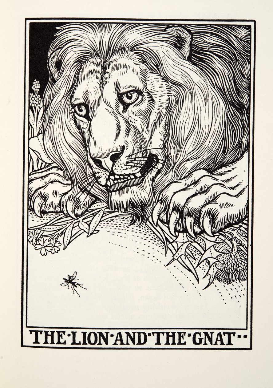 Løven og myggen, fra Fontaine Fables, pub. 1905 af Percy J. Billingshurst
