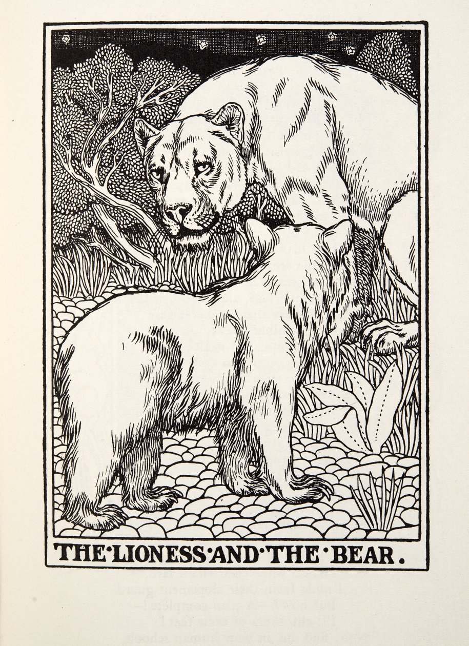 The Lioness and the Bear, fra Fontaine Fables, pub. 1905 af Percy J. Billingshurst