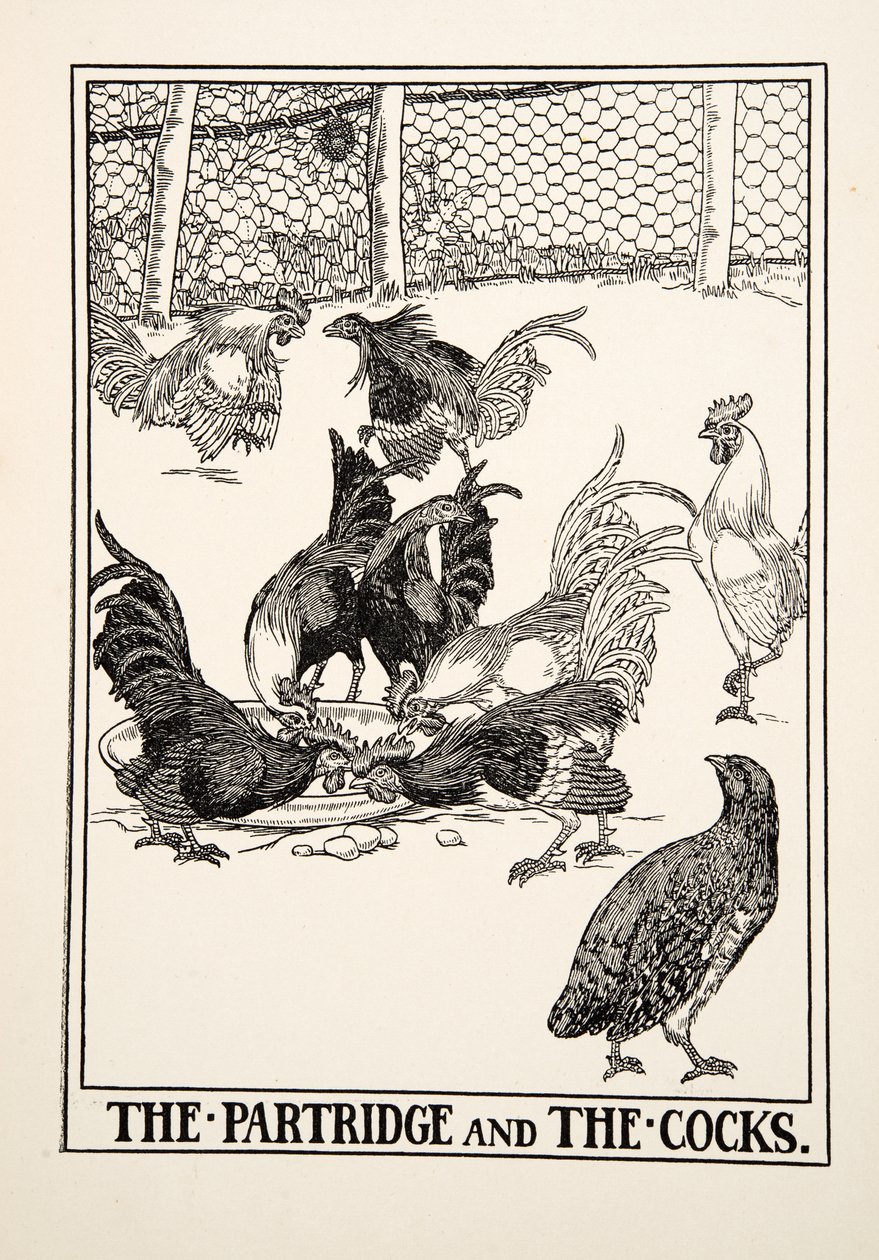 Agerhønen og Hanerne, fra A Hundred Fables of Aesop, pub.1903 af Percy J. Billingshurst