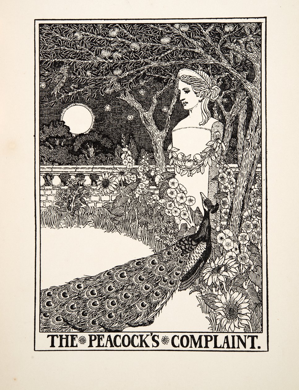 The Peacocks Complaint, fra A Hundred Fables of Aesop, udg. 1903 af Percy J. Billingshurst