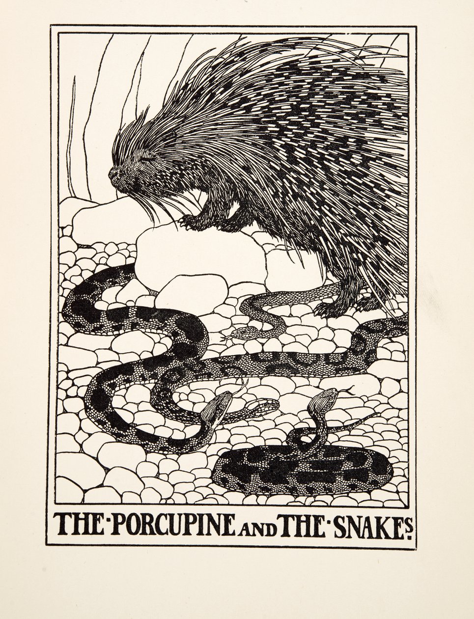 The Porcupine and the Snakes, fra A Hundred Fables of Aesop, pub.1903 (gravering) af Percy J. Billingshurst