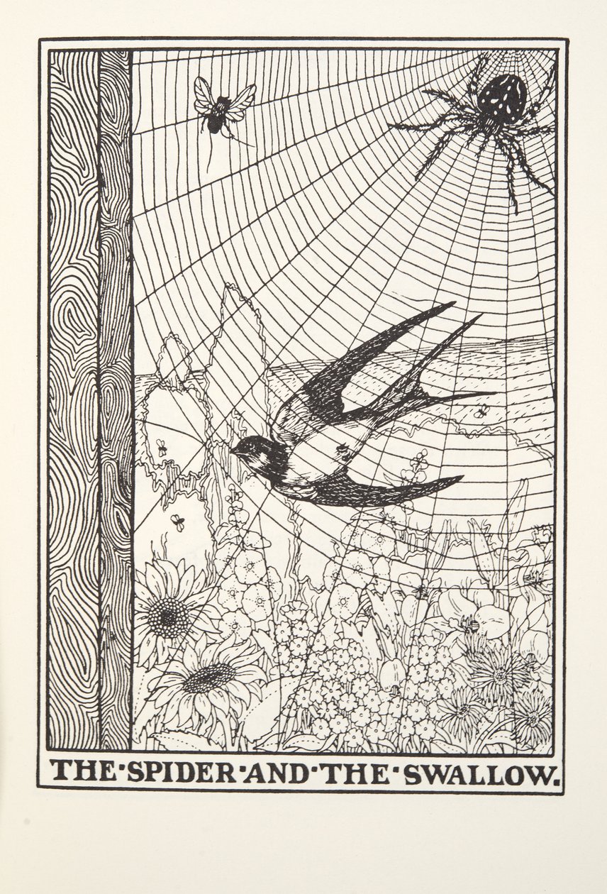 Edderkoppen og svalen, fra Fontaine Fables, pub. 1905 af Percy J. Billingshurst