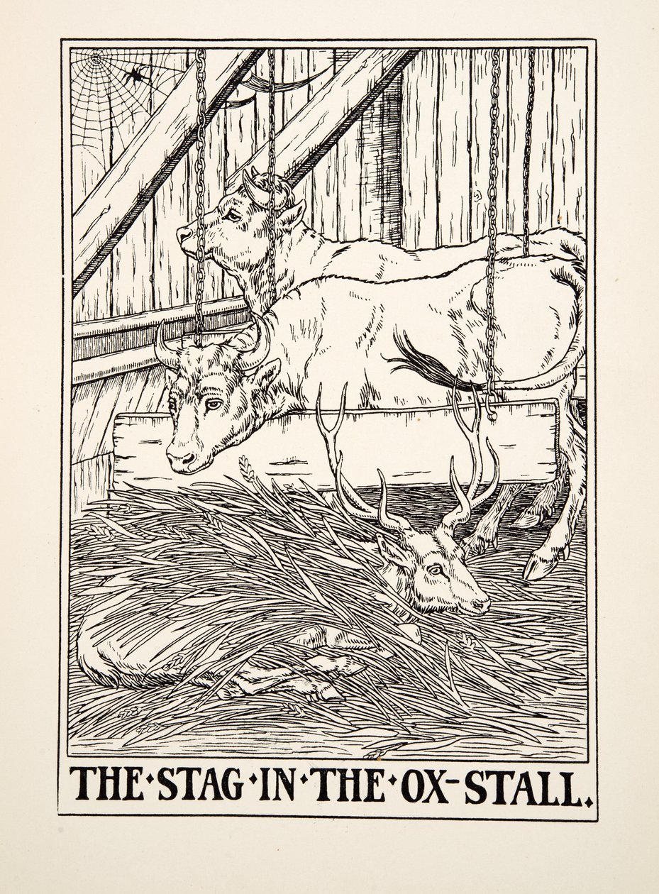 The Stag in the Ox Stall, fra A Hundred Fables of Aesop, pub.1903 (gravering) af Percy J. Billingshurst