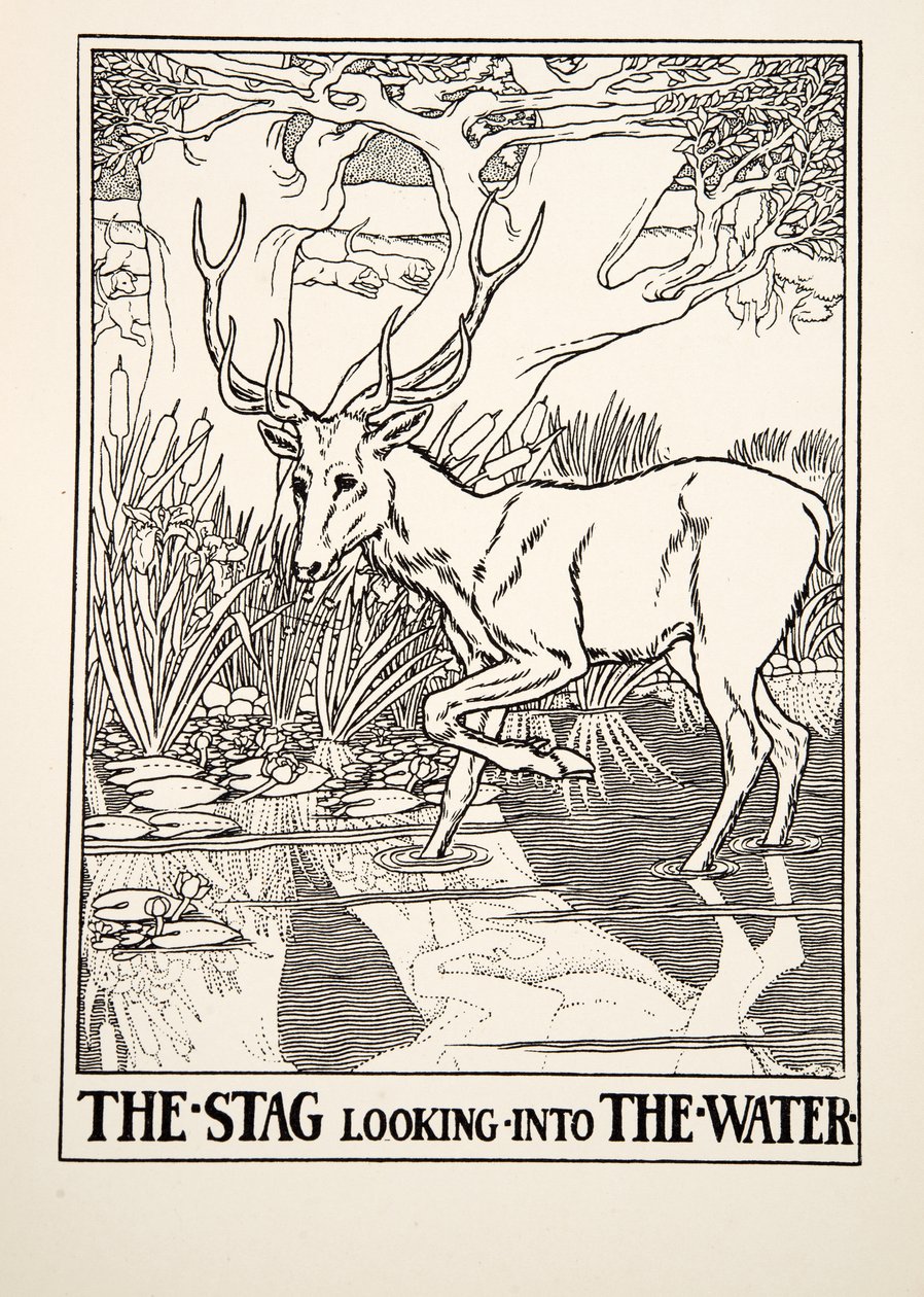 The Stag looking into the Water, fra A Hundred Fables of Aesop, pub.1903 (gravering) af Percy J. Billingshurst