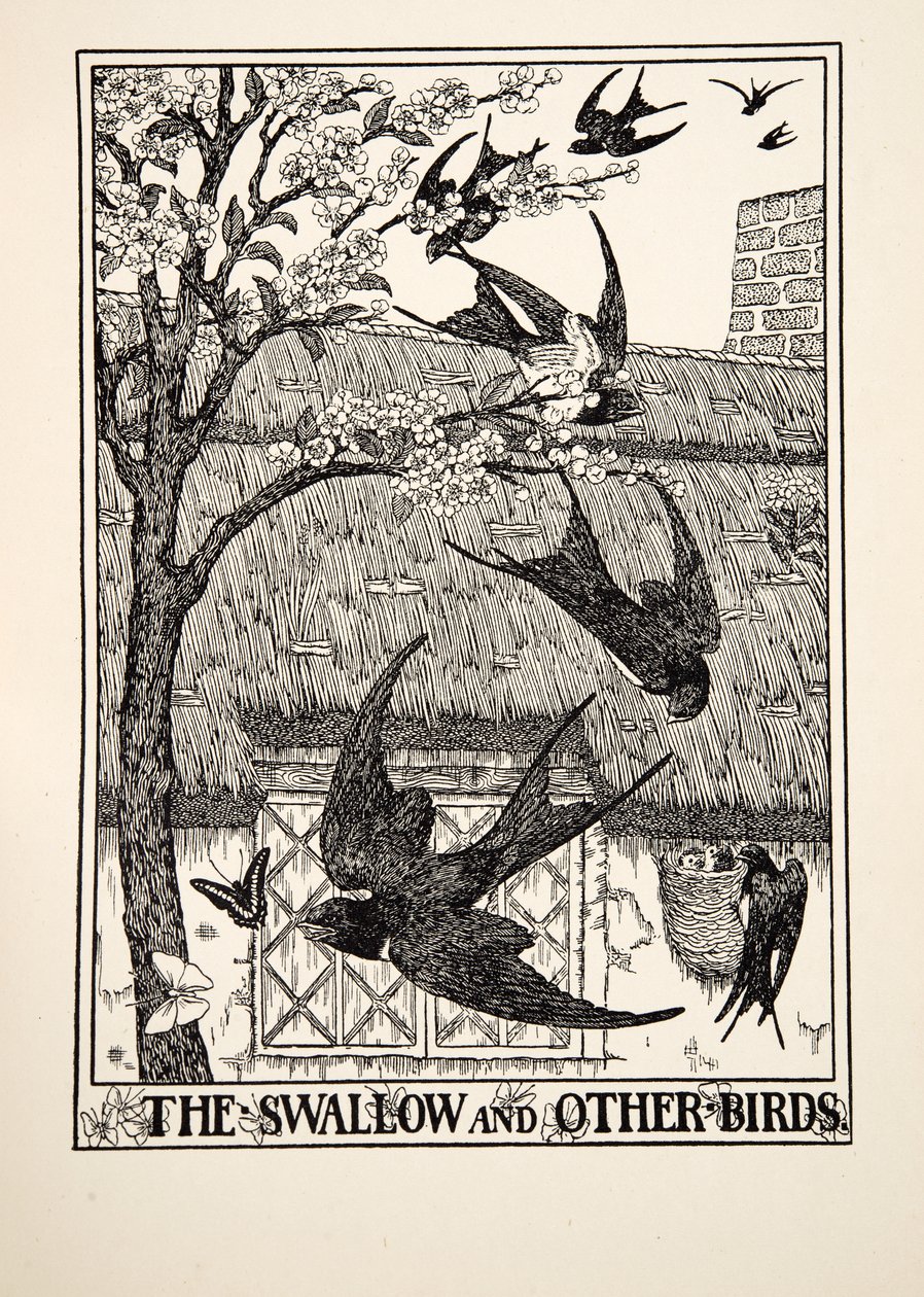 The Swallow and Other Birds, fra A Hundred Fables of Aesop, pub.1903 af Percy J. Billingshurst