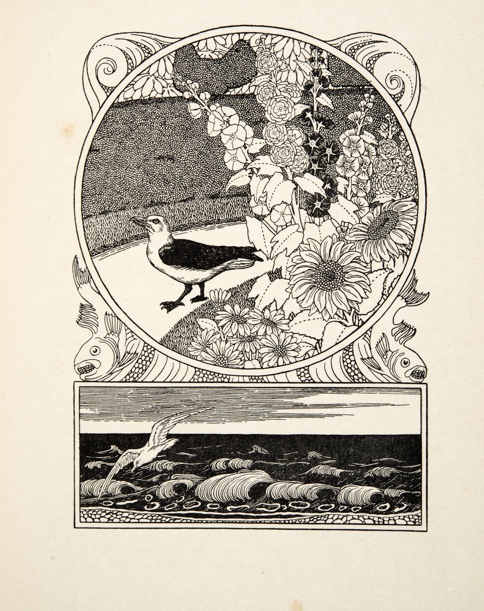 The Tame Seagull, fra A Hundred Anecdotes of Animals, pub. 1924 (gravering) af Percy J. Billingshurst