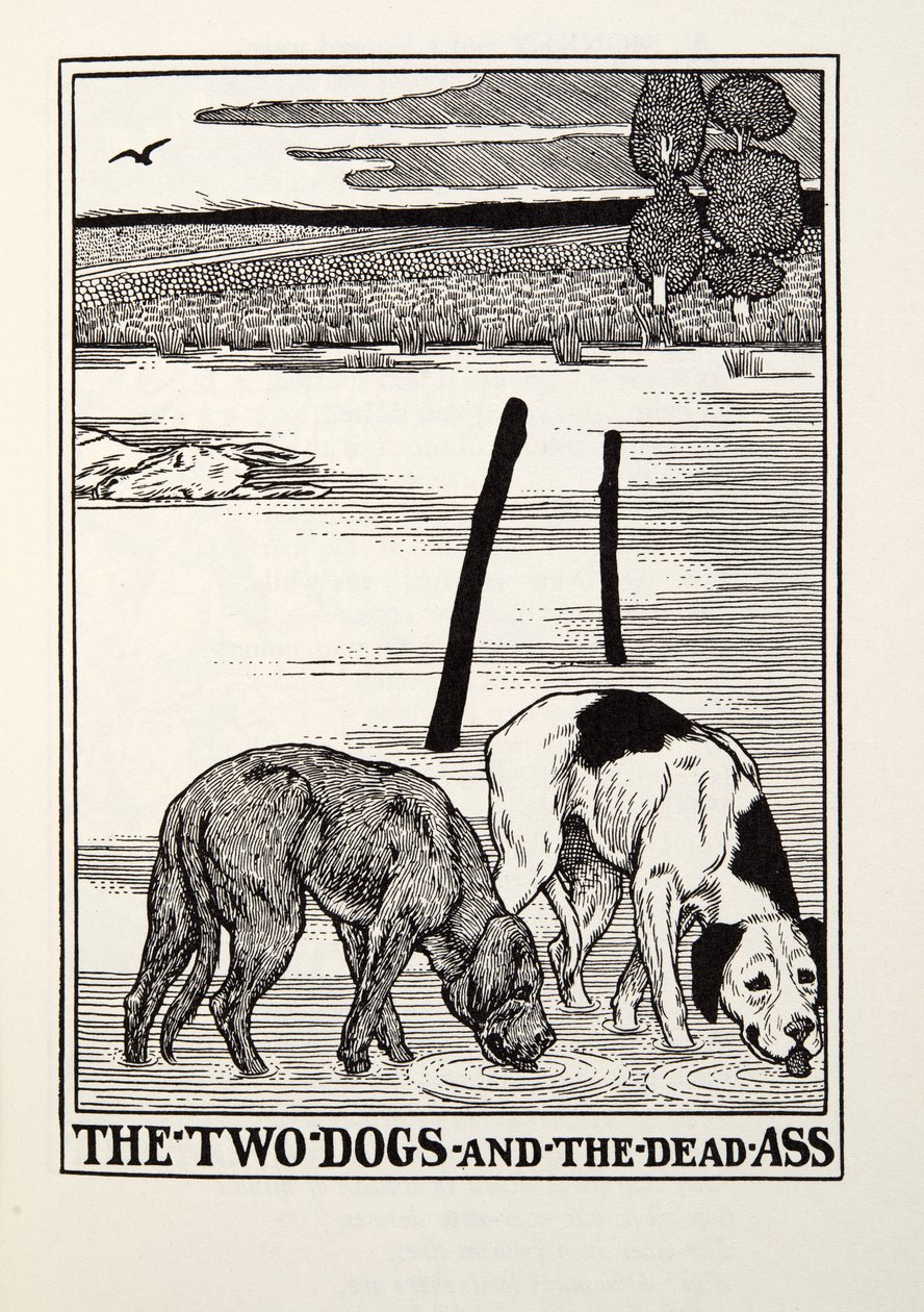 De to hunde og det døde æsel, fra Fontaine Fables, pub. 1905 af Percy J. Billingshurst