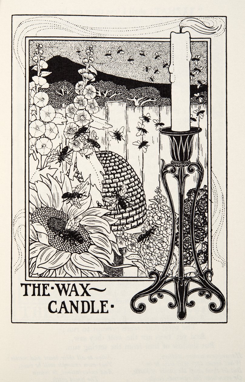 The Wax Candle, fra Fontaine Fables, pub. 1905 af Percy J. Billingshurst