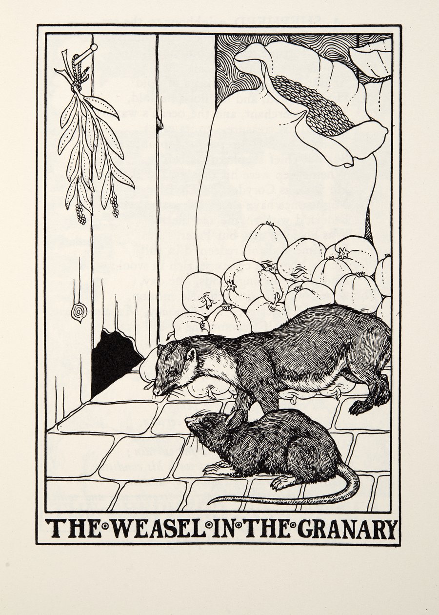 Væselet i kornkammeret, fra Fontaine Fables, pub. 1905 af Percy J. Billingshurst