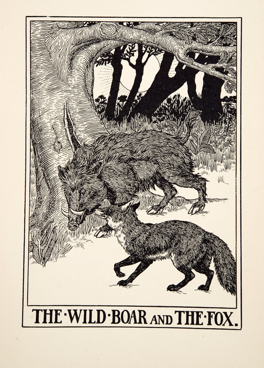 The Wild Boar and the Fox, fra A Hundred Fables of Aesop, pub.1903 (gravering) af Percy J. Billingshurst