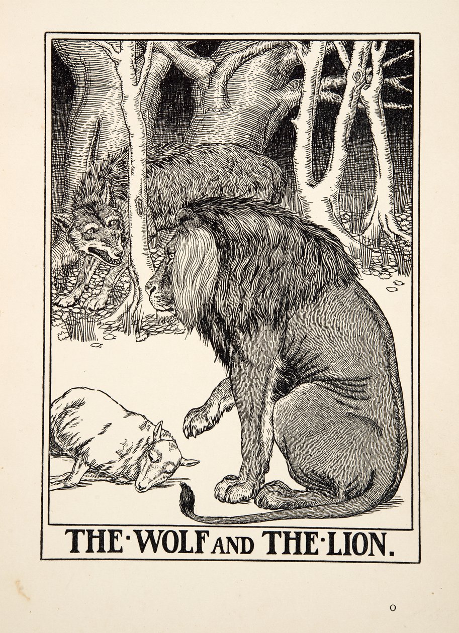 The Wolf and the Lion, fra A Hundred Fables of Aesop, pub.1903 (gravering) af Percy J. Billingshurst