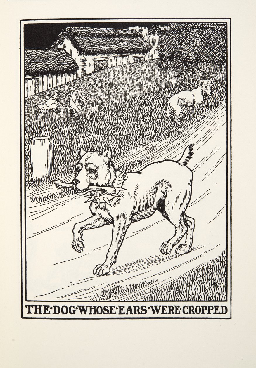 Hunden hvis ører blev beskåret, fra Fontaine Fables, pub. 1905 af Percy J. Billingshurst
