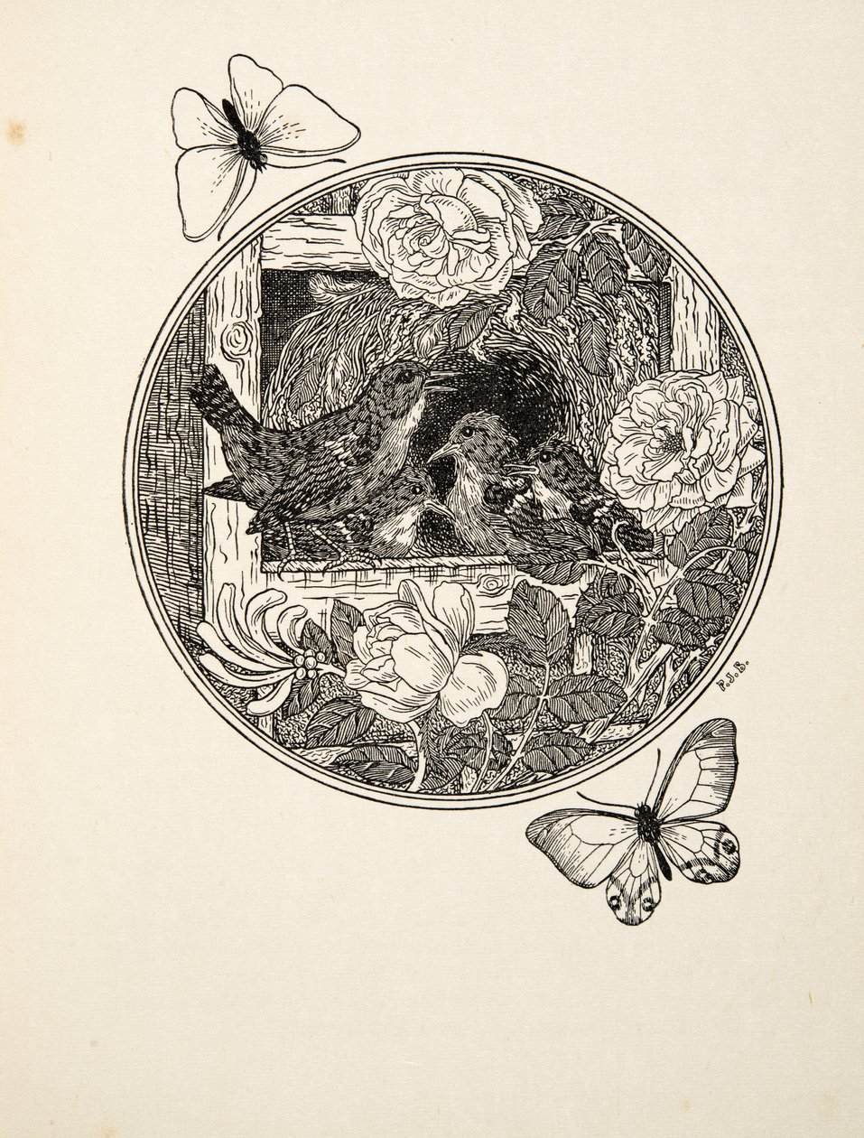 Wrens Learning to Sing, fra A Hundred Anecdotes of Animals, pub. 1924 af Percy J. Billingshurst