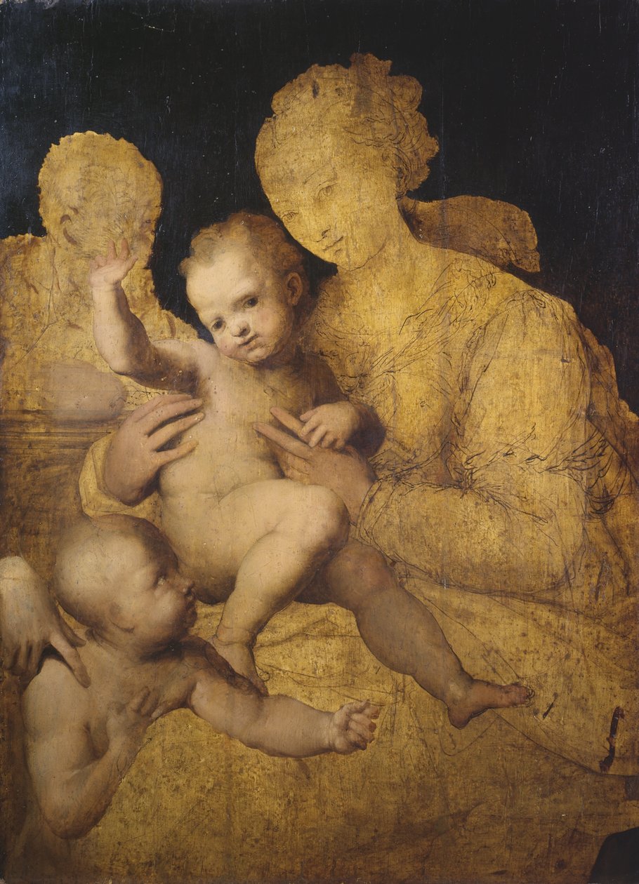 Hellig familie med Johannes Døberen af Perino del Vaga