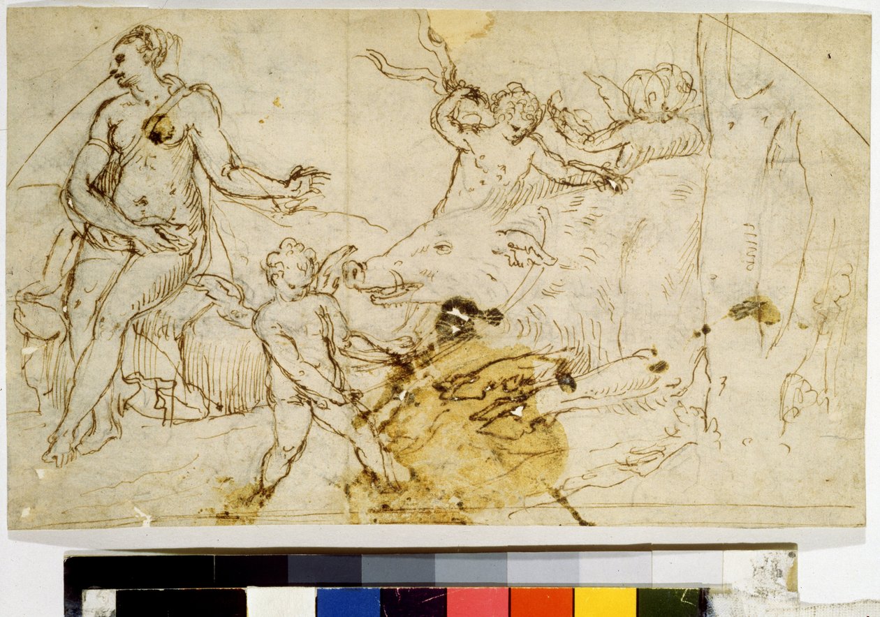  af Perino del (1501-47) Vaga