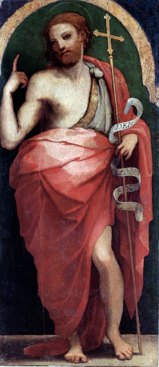 Johannes Baptist, Sidepanel (olie på træ, ca. 1535) af Perino del Vaga